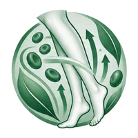 Promotes Healthy Circulation Icon