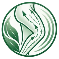 Lymphatic Drainage Icon