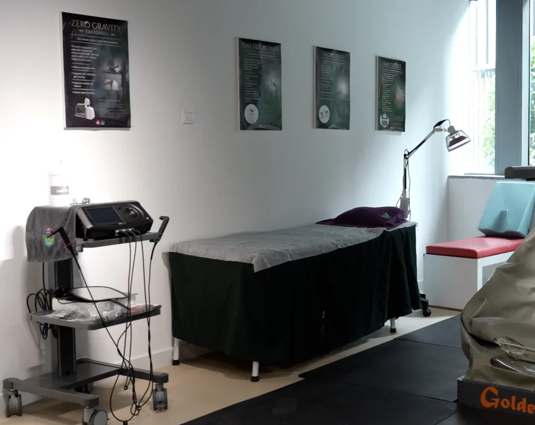 EMS Sleeping Beauty for Body Sculpting and Muscle Toning — laboratory preparation